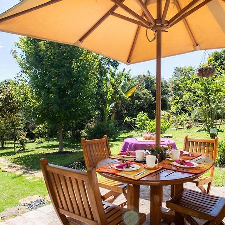 Passadhi Ayurveda & Yoga Retreat Ξενοδοχείο Villa de Leyva Εξωτερικό φωτογραφία